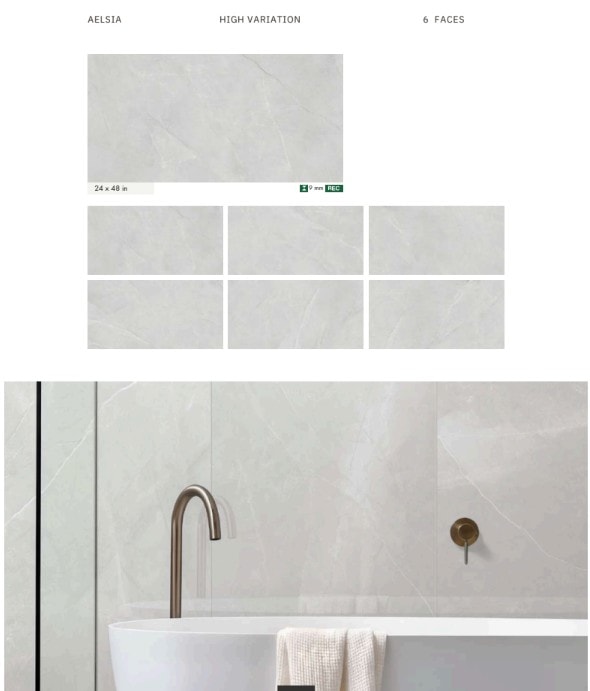 Aelsia porcelain tile — 24×48 in, high variation, 6 faces